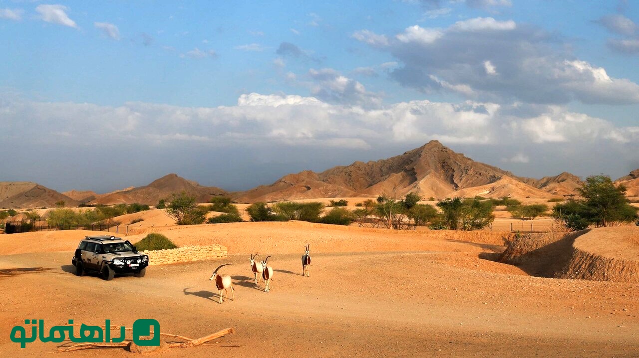 کویر