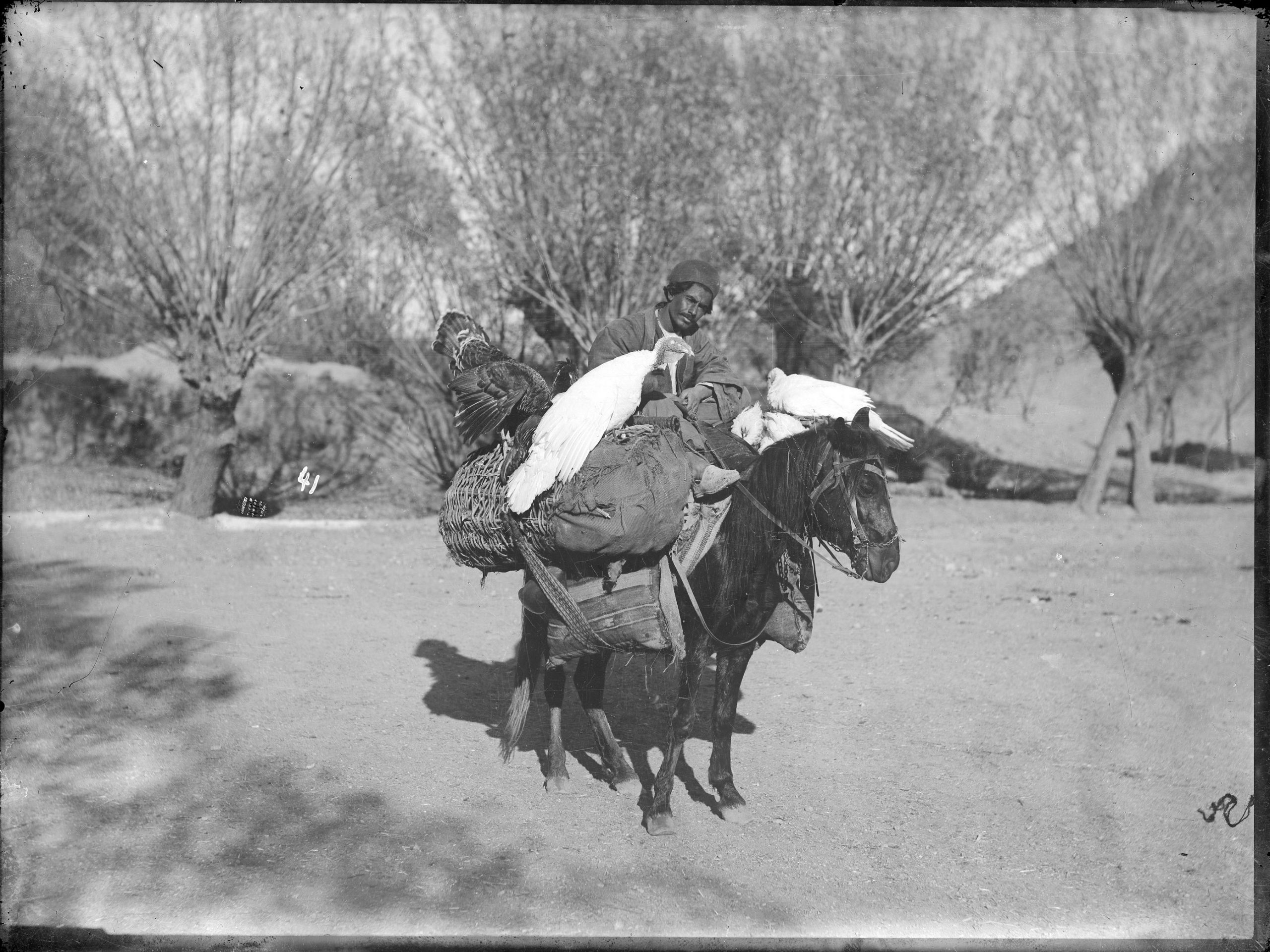 همزاد خسرو شکیبایی
