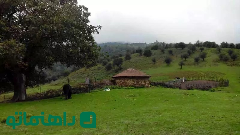 فیلبند
