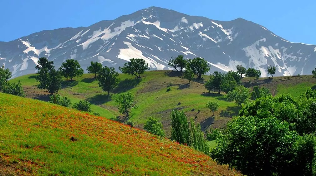 کوهرنگ
