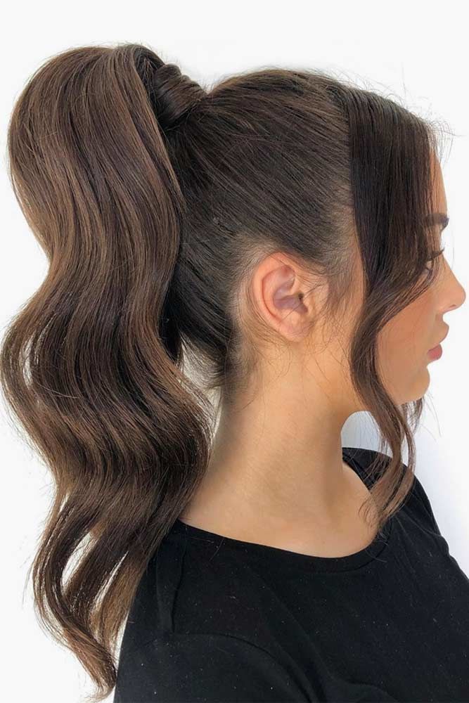  بلند دم اسبی بلند
