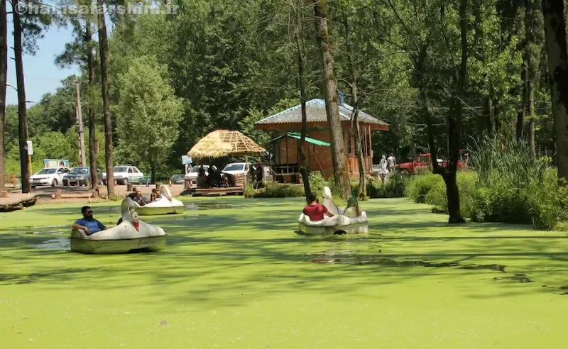 بهترین مکان های گیلان برای چادر زدن در دل طبیعت