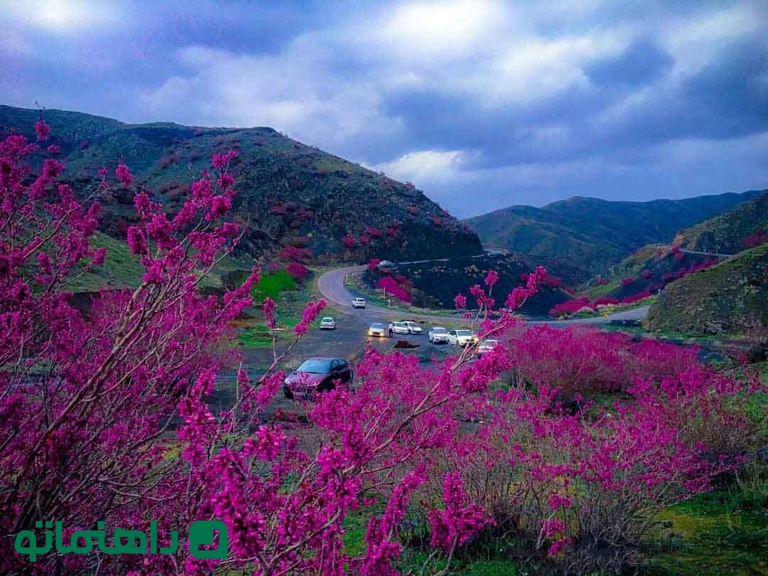 جاذبه های ایلام