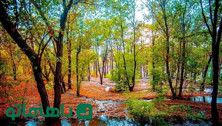 پارک های تهران
