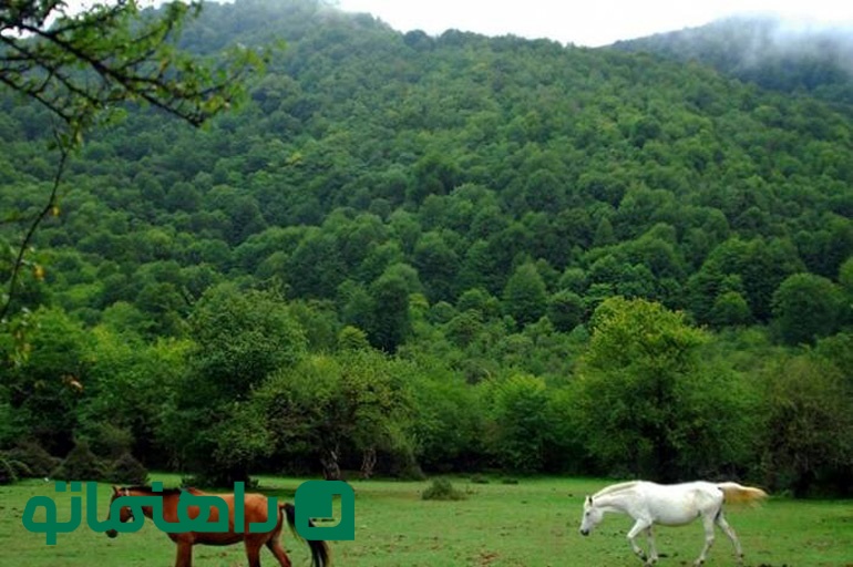 فیلبند