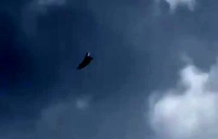 حرکات عجیب خلبان سوخو ۵۷ روسیه در نمایشگاه هوایی چین + ویدئو