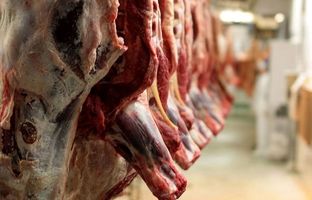 راهنمای بازار؛ قیمت گوشت قرمز، امروز ۲۳ اردیبهشت ۱۴۰۴
