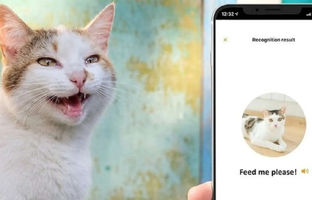  به زودی می‌توانید با گربه‌تان صحبت کنید 