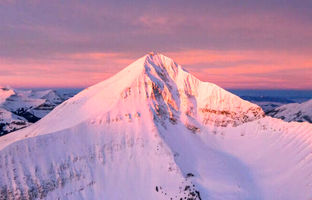 چرا این برف صورتی‌رنگ است؟ | هشدار بزرگی که نباید نادیده گرفته شود