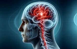 آیا می‌توان خاطرات مغز مرده را بازیابی کرد؟ / دانشمندان محل فیزیکی ذخیره خاطرات در مغز را یافته‌اند