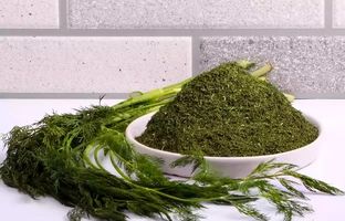 نحوه خشک کردن شوید در منزل 