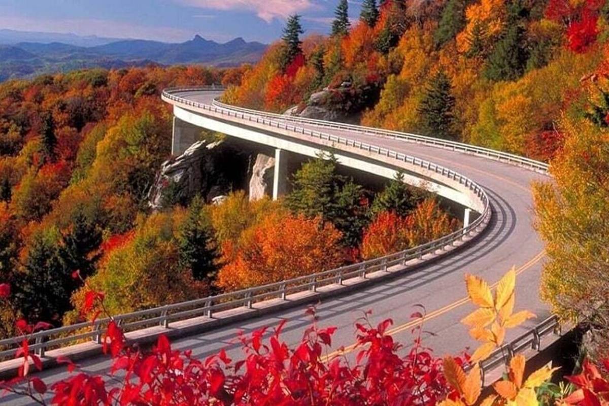 ۶ مقصد رویایی برای سفر یک روزه اطراف تهران در فصل پاییز