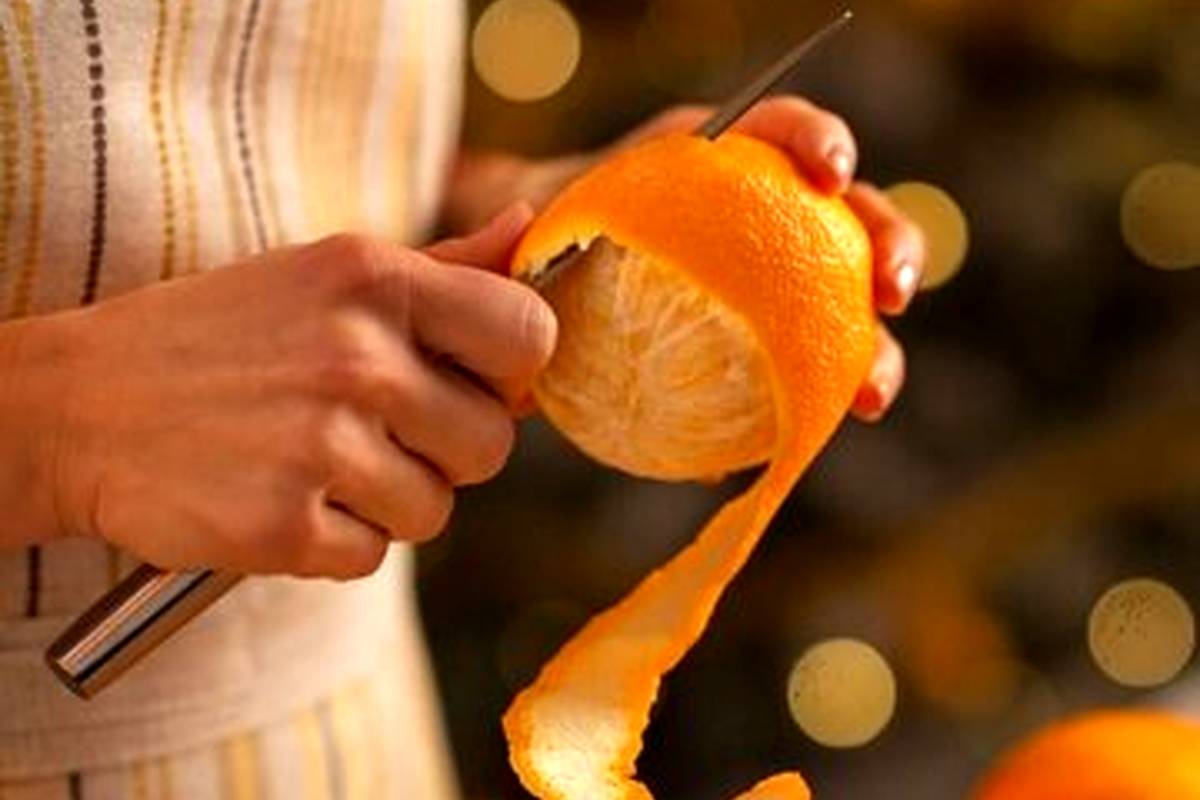 پوست میوهها مضر است یا مفید؟
