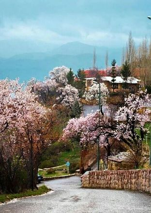 سفر به آبیدر؛ بهشت کوهستانی و خنک سنندج