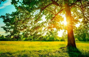 وضعیت آب و هوا امروز پنجشنبه 22 خرداد