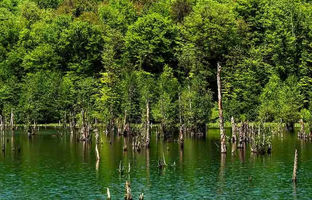  دریاچه ارواح نوشهر؛ سفری به دنیای ترس و سکوت 