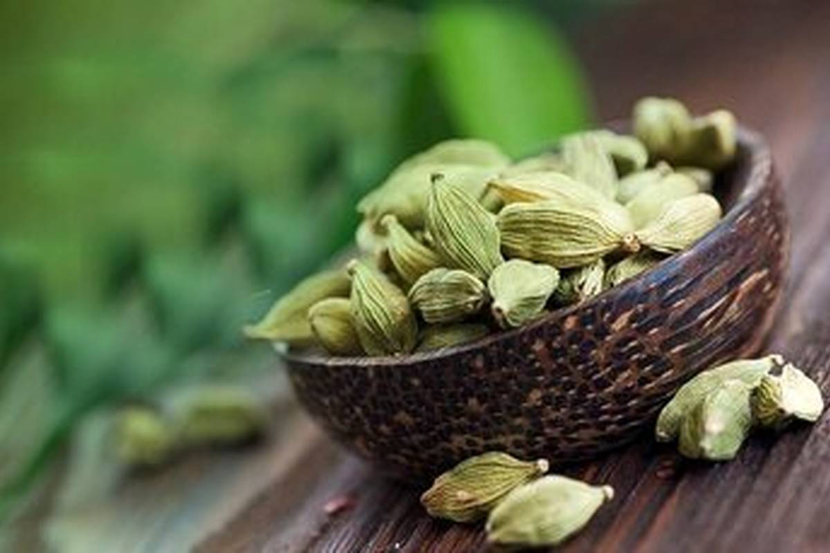 این روغن برای رفع گرفتگی عضلات مفید است/ سفیدکننده گیاهی دندانها