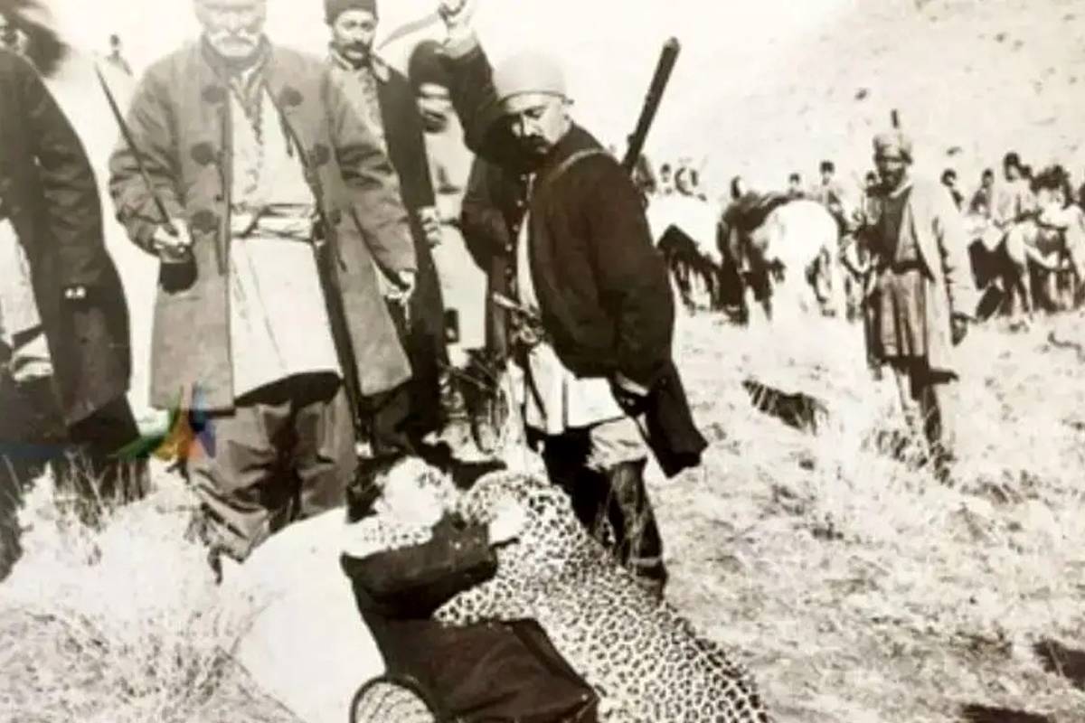 
روزگاری که تهران پلنگ داشت؛ پلنگ‌های تهران کجا رفتند؟
