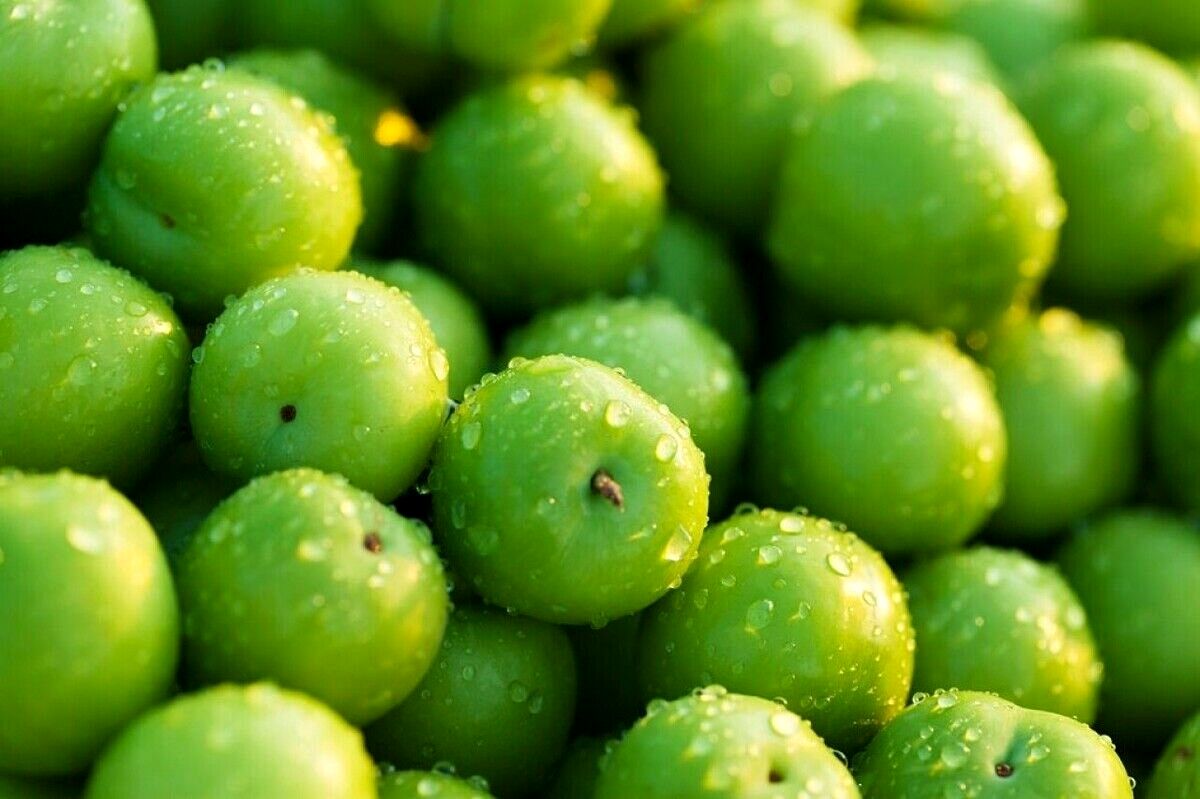 خواص گوجه سبز؛ از پاکسازی کبد تا تقویت سلامت قلب