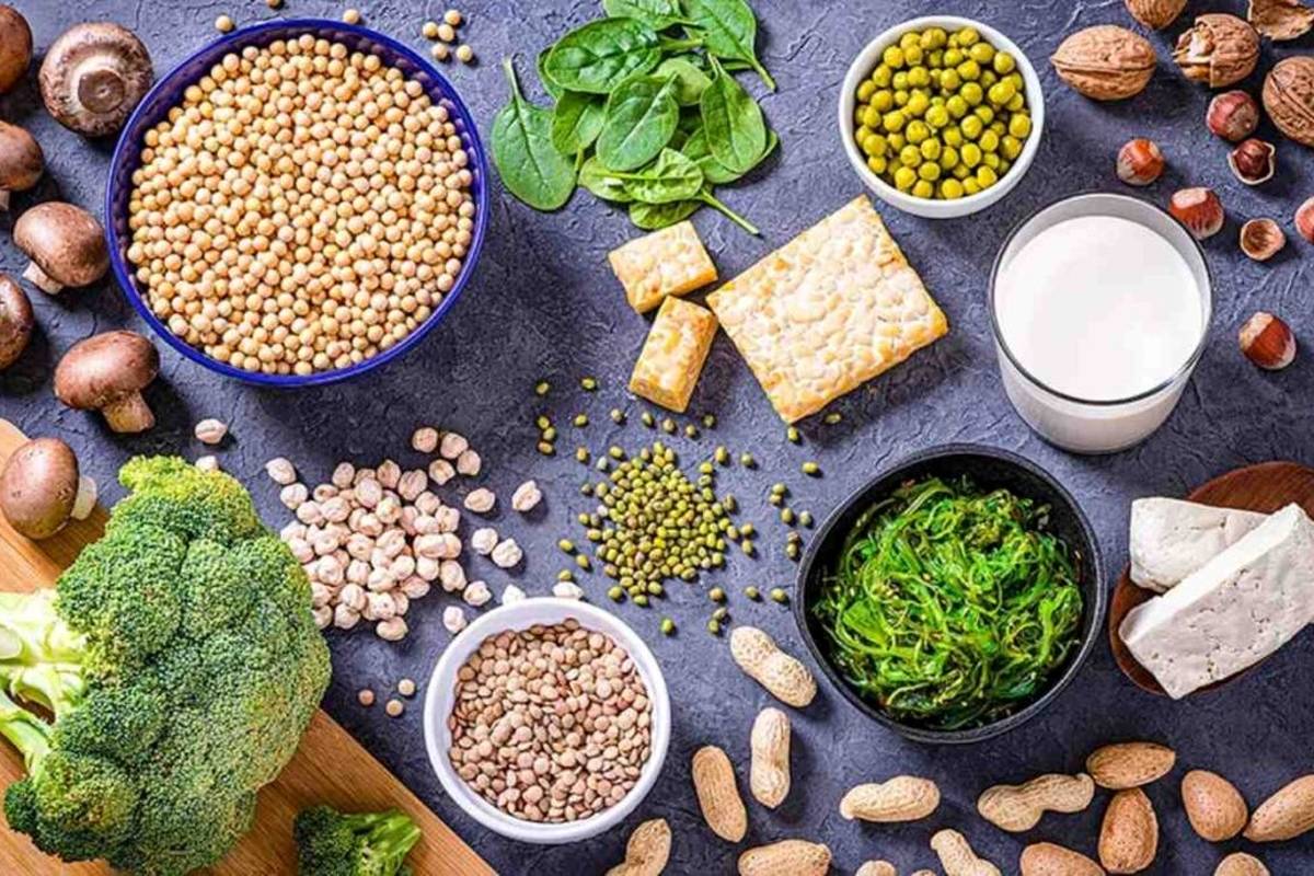 بهترین منابع پروتئین برای گیاهخواران را بشناسید