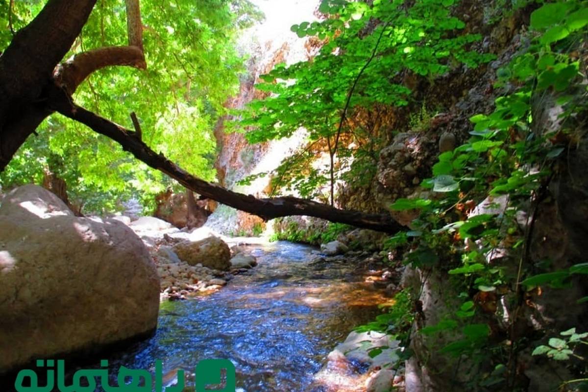 سفر به روستای مال آقا؛ بهشتی سبز و خنک در تابستان جهنمی خوزستان