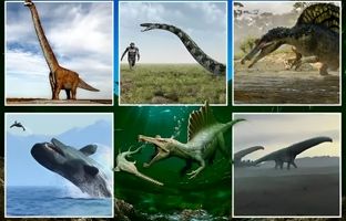 از نهنگ لویاتان تا تایتانوبوآ؛ هیولاهای عظیم‌الجثه ای که روزگاری بر زمین حکمرانی می‌کردند