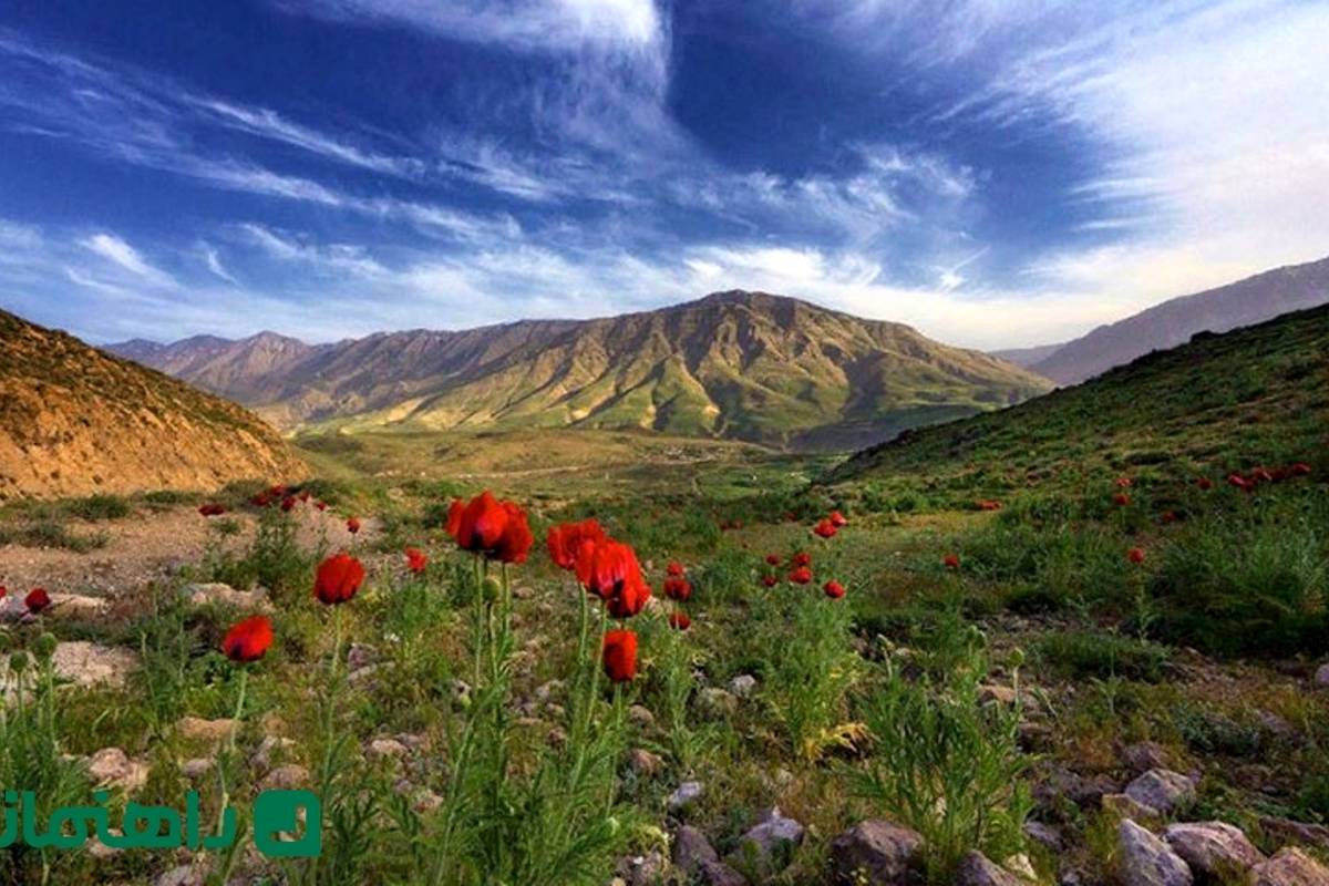 کوهنوردی در دماوند: راهنمای جامع برای مبتدیان با نکات ایمنی و جاذبهها