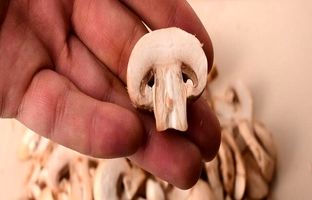 کشف اثر امیدوار کننده‌ قارچ در برابر سرطان پروستات