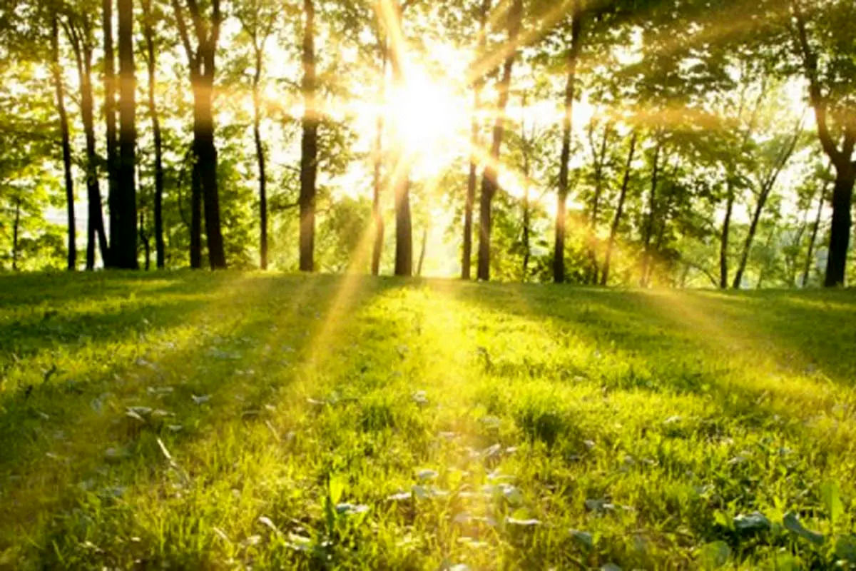 وضعیت هوا تهران امروز یکشنبه 18 خرداد