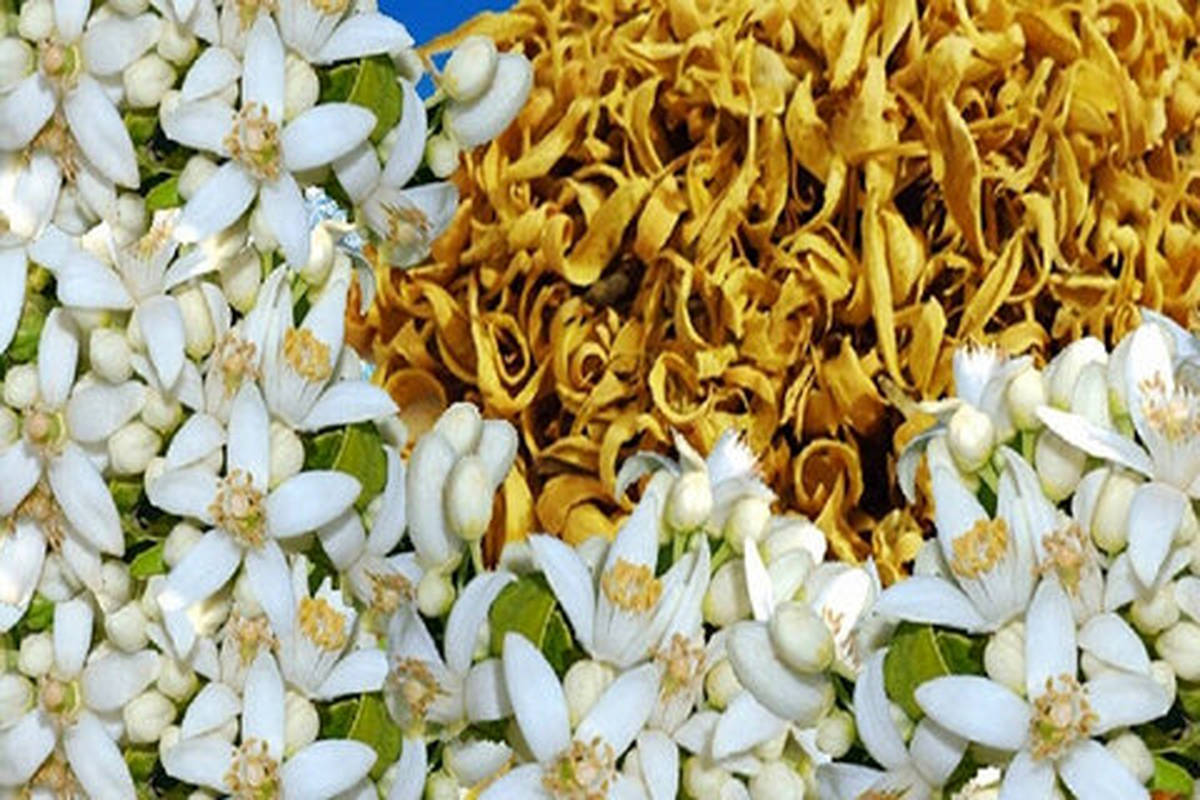 خواص درمانی بهار نارنج ؛ طریقه مصرف عرق بهار نارنج