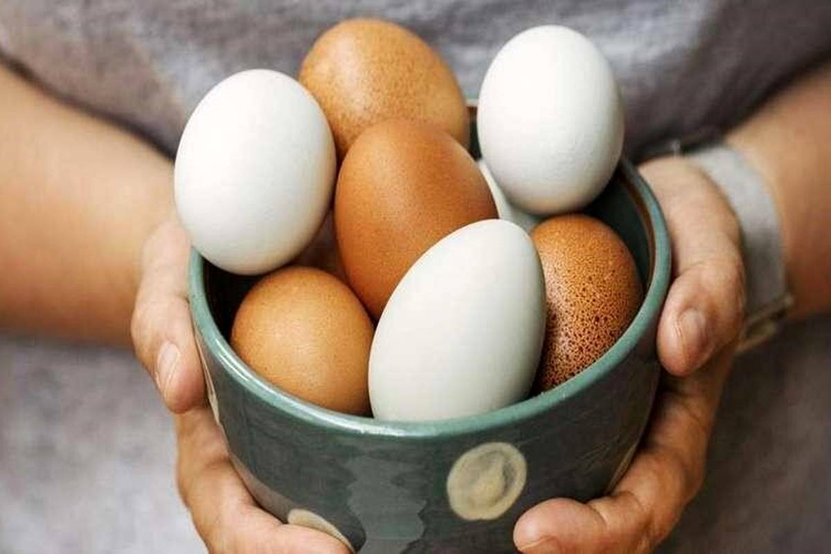 آیا خوردن تخممرغ هر روز برای بدن ضرر دارد؟