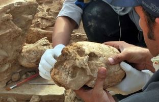 زنی با «جمجمه مخروطی» از زیر خاک بیرون آمد 