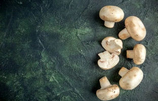 نشانه قارچ سالم و خراب؛ قبل خرید قارچ حتما بخون 