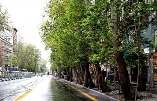 خیابان ولیعصر (عج) به زودی تغییر می کند!