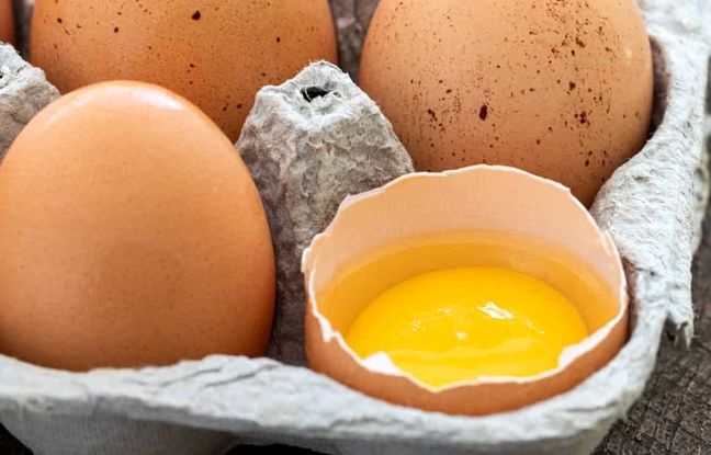  علائم تخم مرغ فاسد را بشناسید 