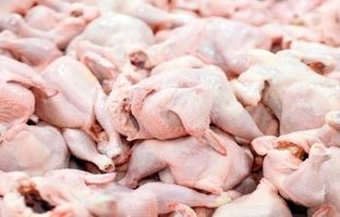 آخرین قیمت مرغ و تخم مرغ اعلام شد