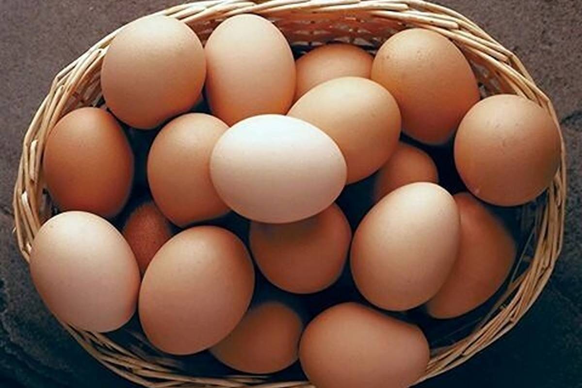 خوردن تخممرغ خام محلی برای کمخونی مفید است؟