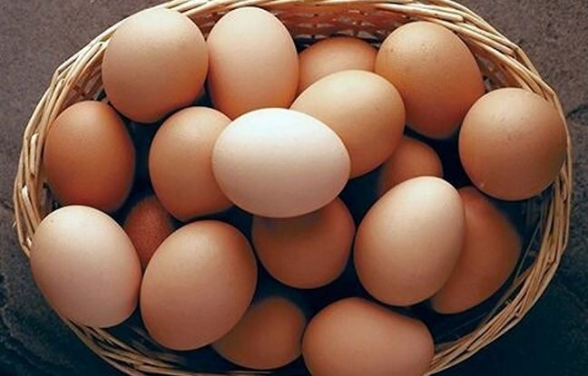 خوردن تخم‌مرغ خام محلی برای کم‌خونی مفید است؟