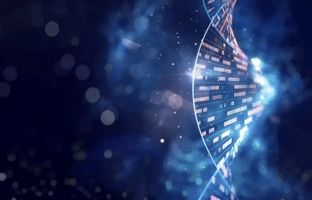 چگونه آزمایش DNA نشان می‌دهد دو نفر بایکدیگر نسبت فامیلی دارند؟