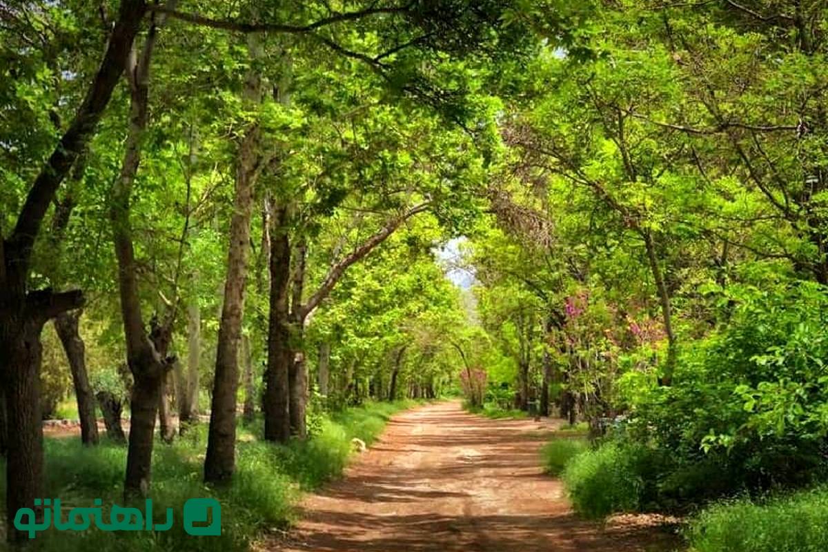 همسفر با بهار به پارکهای شیراز؛ ۵ پارک بهشتی برای پیک نیک
