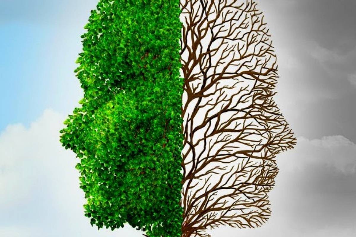 مغز ما در چه فصلی بهتر کار میکند؟