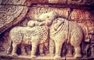  رازهای خودشناسی در یک تست باستانی: سفری 900 ساله به درون