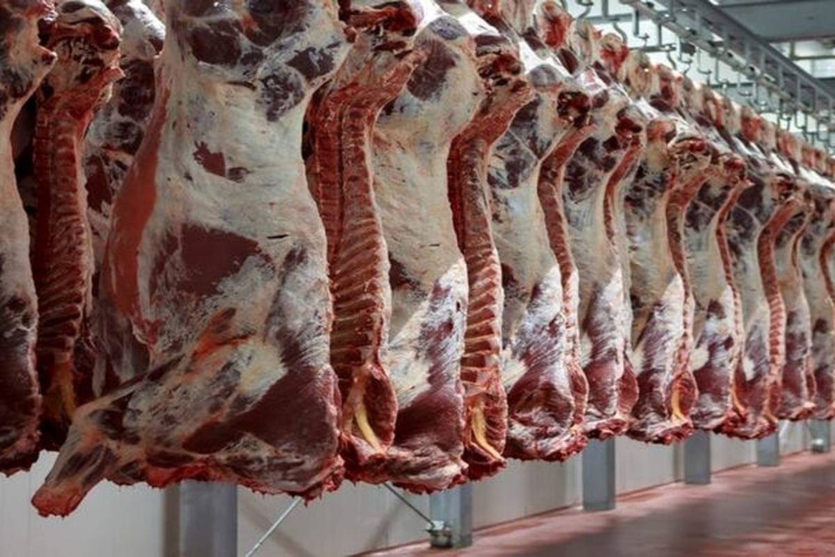 قیمت گوشت قرمز، امروز سه شنبه ۱۲ دی ۱۴۰۲