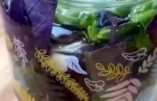 (ویدئو) روشی برای تازه نگه داشتن سبزی ریحان