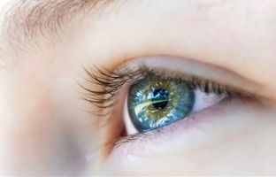 شگفتی چشم‌ انسان؛ دیدن جهان چه زمان امکان‌پذیر شد؟