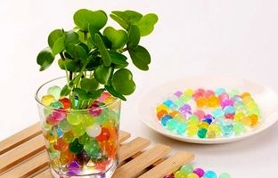 با خاک ژله ای رنگارنگ متفاوت ترین سبزه عمرتو بساز!