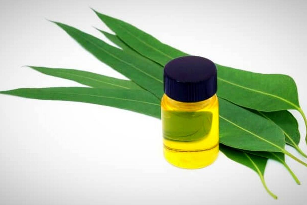 چجوری با روغن اکالیپتوس، لکه لباس رو پاک میکنن؟