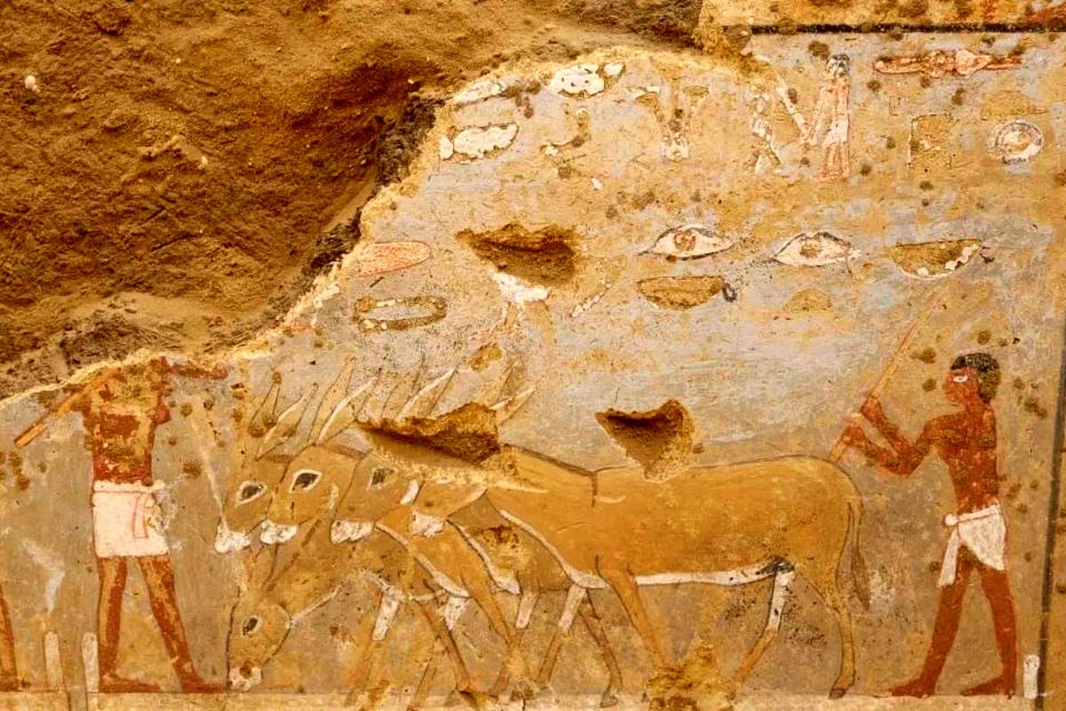 کشف دیوارنگارههای باستانی رنگی در مقبره ۴۳۰۰ ساله در مصر