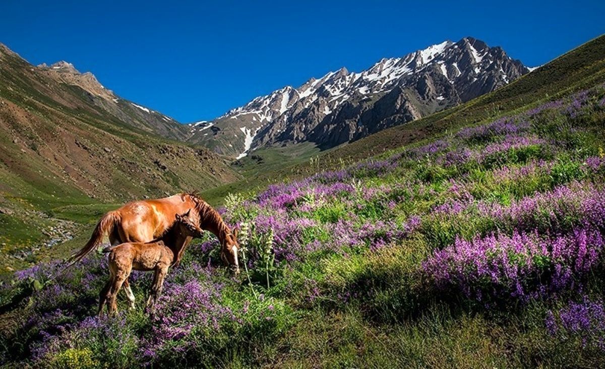 5 روستای زیبای لرستان و 5 تکه از بهشت که باید ببینیم