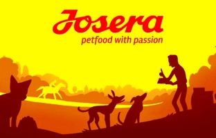 معرفی غذای سگ ارزان خارجی و با کیفیت بالا